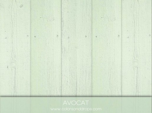 AVOCAT (sol uniquement)